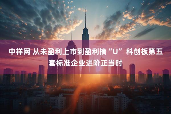 中祥网 从未盈利上市到盈利摘“U” 科创板第五套标准企业进阶正当时