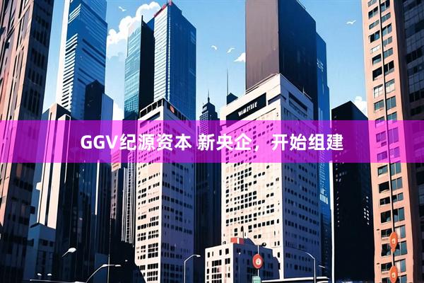 GGV纪源资本 新央企，开始组建