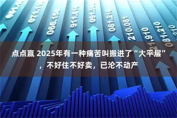 点点赢 2025年有一种痛苦叫搬进了“大平层”，不好住不好卖，已沦不动产