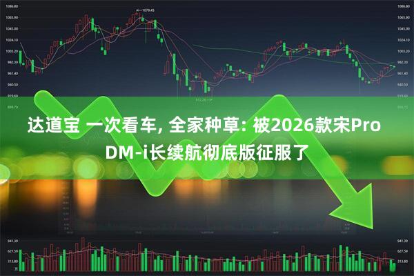 达道宝 一次看车, 全家种草: 被2026款宋Pro DM-i长续航彻底版征服了